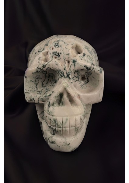 Kuru Kafa Figürlü Yosunlu Akik Taşı