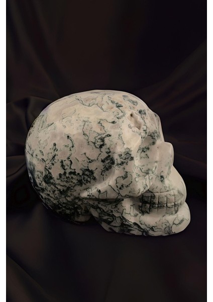 Kuru Kafa Figürlü Yosunlu Akik Taşı fiyatları