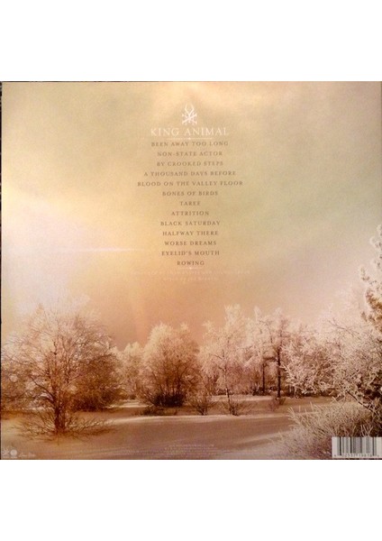 Soundgarden - King Animal - Plak modelleri