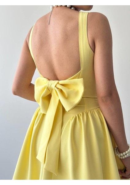 Ipeksi Dreas Fiyonk Detaylı Elbise