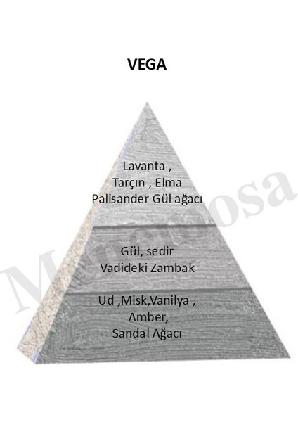 Vega Unisex Parfüm Zenith Edition 90 ml Woody - Mnms90mlvega fiyatları
