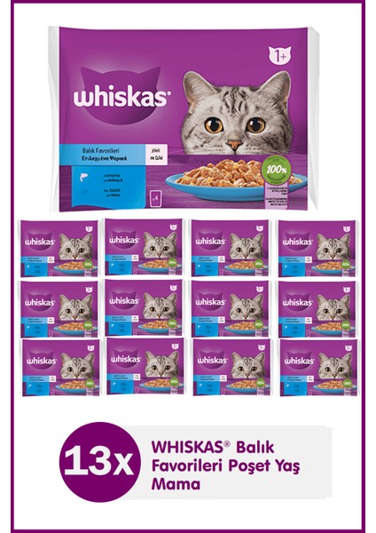 Ctn Whiskas Pure Delight Balık Favorileri Somonlu Ton Balıklı 4X85 gr (13 Adet)