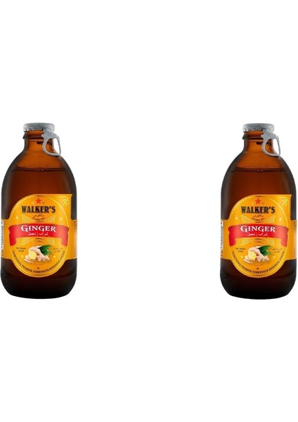 Zencefilli Gazoz Carbonated Ginger Beverage 250 ml (2 Adet)