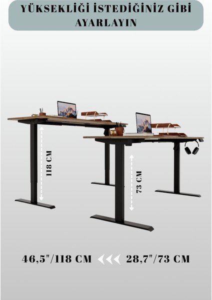 - Yüksekliği Ayarlanabilir Ergonomik Bilgisayar & Çalışma Masası - Ceviz