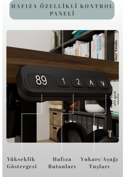 - Yüksekliği Ayarlanabilir Ergonomik Bilgisayar & Çalışma Masası - Ceviz