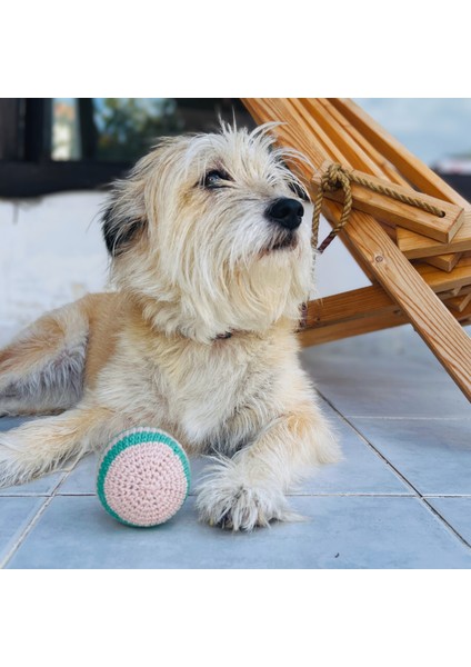 Pofuduk Top Köpek Oyuncağı | Doğa Dostu ve Pamuklu modelleri