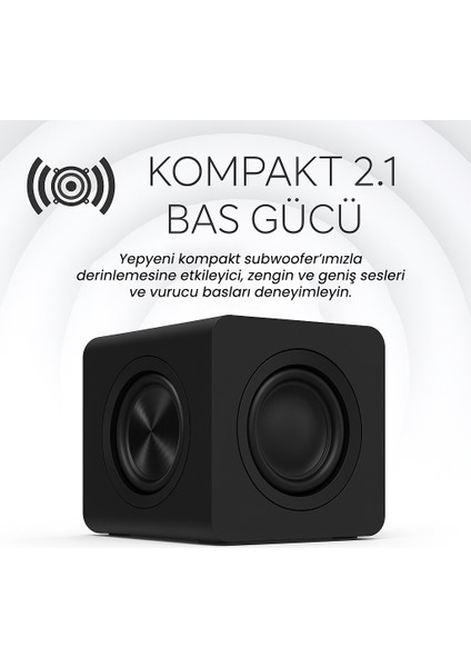 Pebble X Siyah 2.0 15W USB-C Bluetooth 5.3 RGB Aydınlatmalı 2.0 Masaüstü Multimedya Hoparlör fiyatları