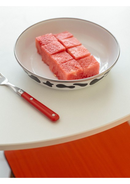 Mötilda Emaye Bowl Tabağı - Bowl Kase - Salata Kasesi - Sunum Kasesi 21CM