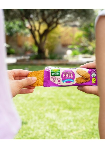 Çikolata Aroma Dolgulu Glutensiz Sandviç Bisküvi 225 gr (2 Adet) fırsatları