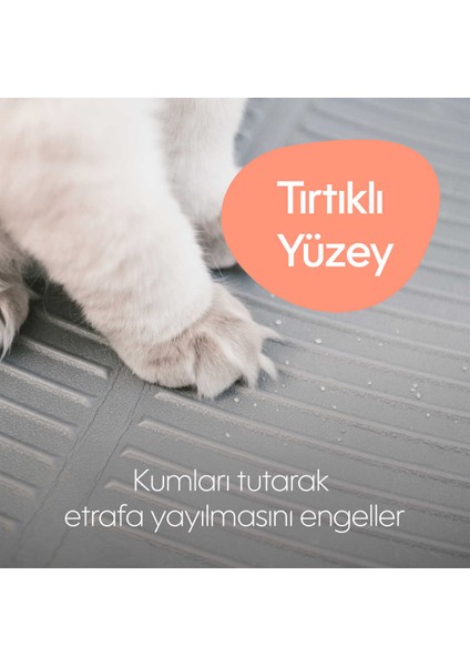 Kolay Temizlenen, Taneleri Tutan Kedi Kumu Paspası, Kabartmalı ve Kaymaz Mat fırsatları
