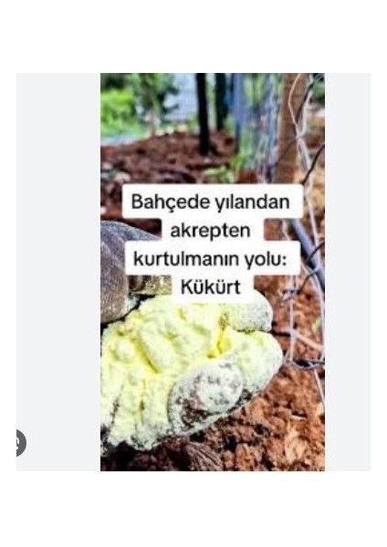 Sarı Kükürt 10 kg | Yılan ve Akrep Kovucu Güçlü Formül modelleri