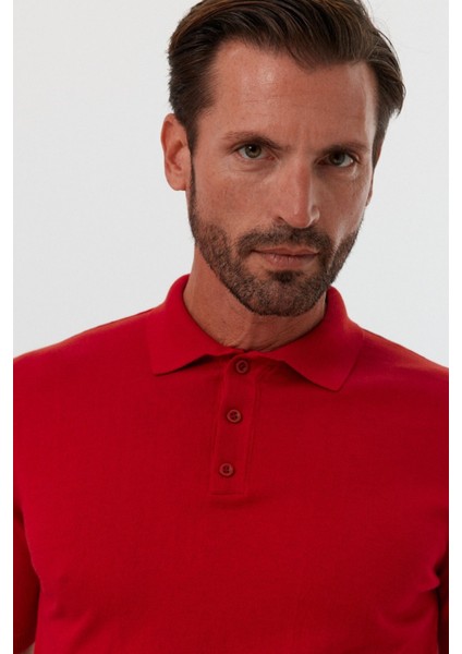 Erkek Polo Yaka Basic Kısa Kollu Yazlık Triko Tişört fırsatları