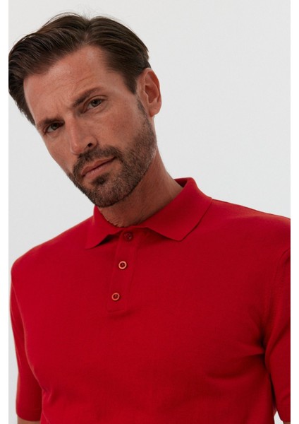 Erkek Polo Yaka Basic Kısa Kollu Yazlık Triko Tişört indirimleri