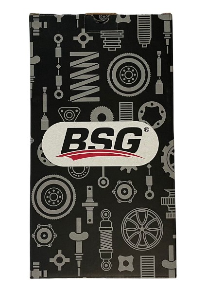 Ford Focus / Ford Connect Hava Filtresi | Bsg 30-135-006 - Tam T9601 Fcs Hava Filtresi