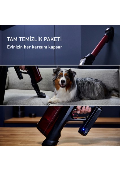 TY9A73WO X-Force Flex 13.60 Animal Care Kablosuz Şarjlı Dikey Süpürge - 150 Air Watt