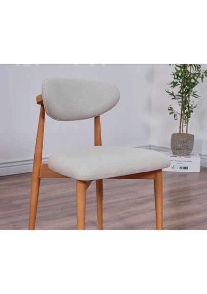 Bohem Iskandinav Masa Sandalye Takımı 105 cm damperli cam 4 Sandalyeli fırsatları