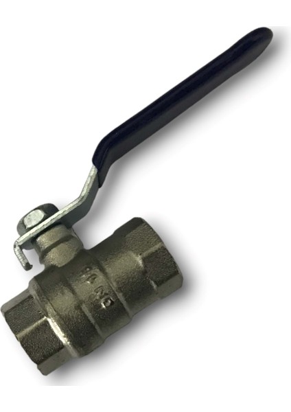 Vana 1/2 Dişi - 1/2 Dişi Kollu