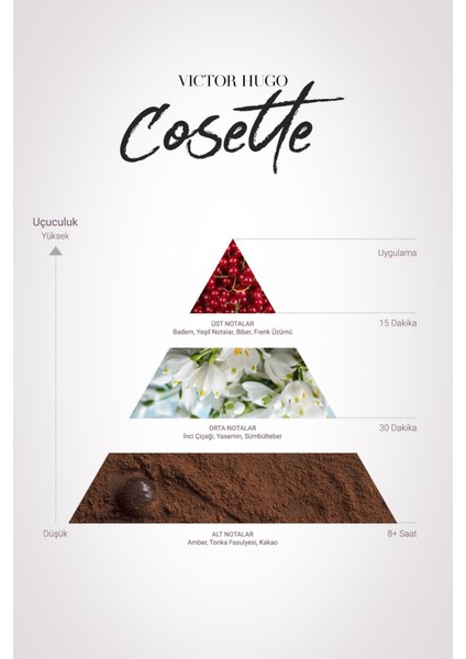 Kadın Parfüm Cosette EDP 100 ml fırsatları