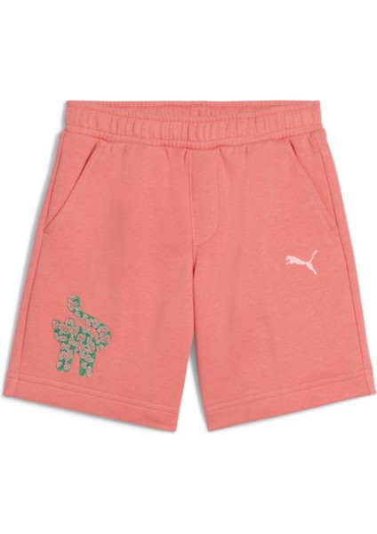 Cats Club Shorts fiyatları