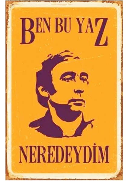 Kuşe Kağıt Duvar Posteri Ben Bu Yaz Neredeydim Şener Şen Retro Vintage DRTR0010