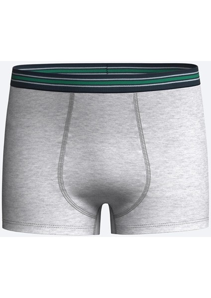 Lcw Kids Yeşil Baskılı Erkek Çocuk Boxer 3'lü modelleri