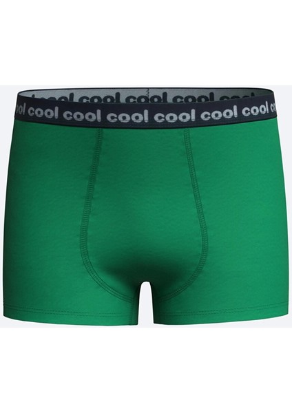 Lcw Kids Yeşil Baskılı Erkek Çocuk Boxer 3'lü fırsatları