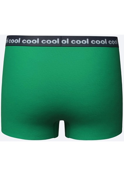 Lcw Kids Yeşil Baskılı Erkek Çocuk Boxer 3'lü indirimleri