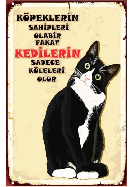 Kuşe Kağıt Duvar Posteri Kedilerin Sadece Köleleri Olur Retro Vintage DRTR0033