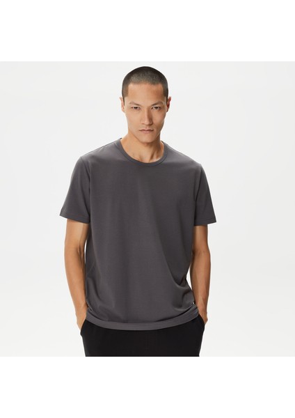 Erkek Gri Standart Fit T-Shirt