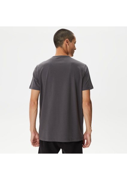 Erkek Gri Standart Fit T-Shirt fiyatları