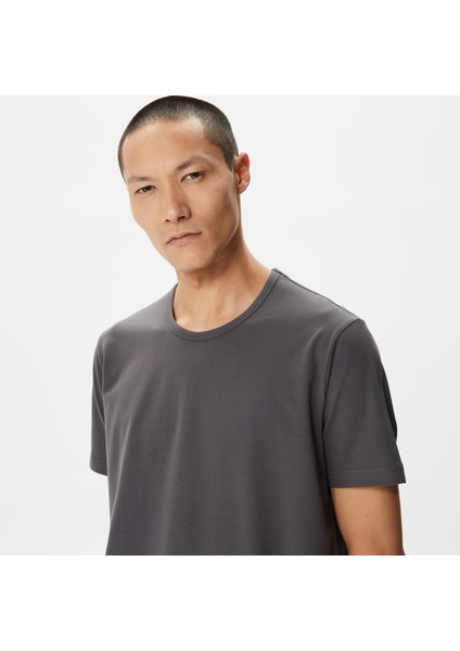 Erkek Gri Standart Fit T-Shirt fırsatları