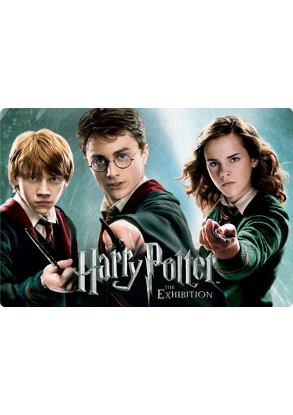 Harry Potter Dikdörtgen Pasta Yenilebilir Resim Baskı 28x19 cm