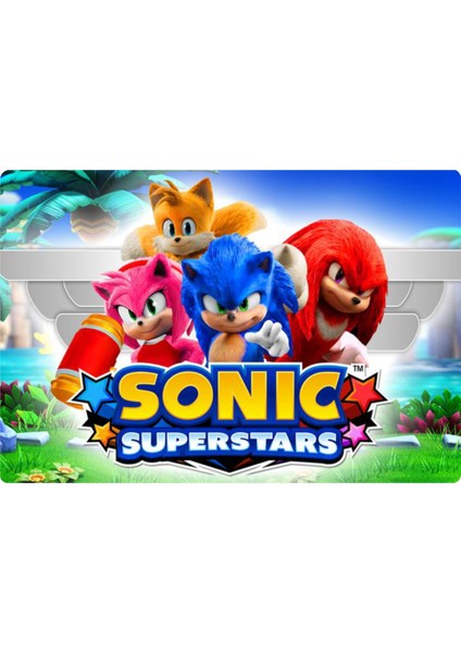 Sonic Dikdörtgen Pasta Yenilebilir Resim Baskı 28x19 cm