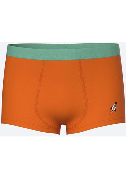 Lcw Kids Mavi Baskılı Erkek Çocuk Boxer 3'lü modelleri