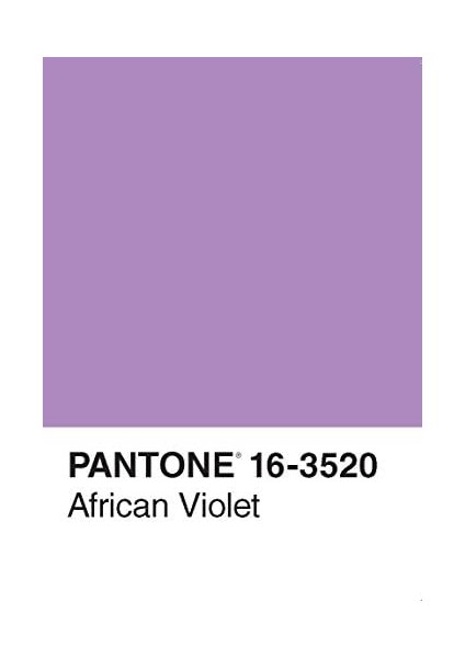 50 Postcards fiyatları