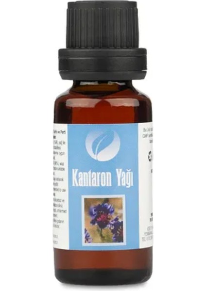 Hindistan Cevizi Yağı 20 ml | %100 Doğal Soğuk Sıkım | Saç, Cilt ve Tırnak Bakımı fiyatları