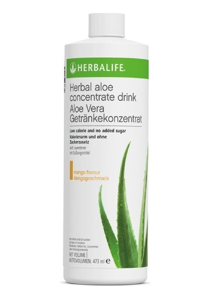 Aloe Mangolu