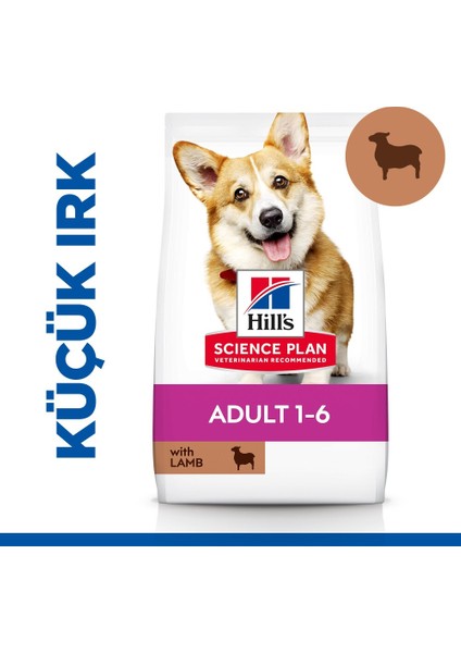 Yetişkin Küçük ve Mini Irk Kuzulu ve Pirinçli Köpek Maması 6 kg