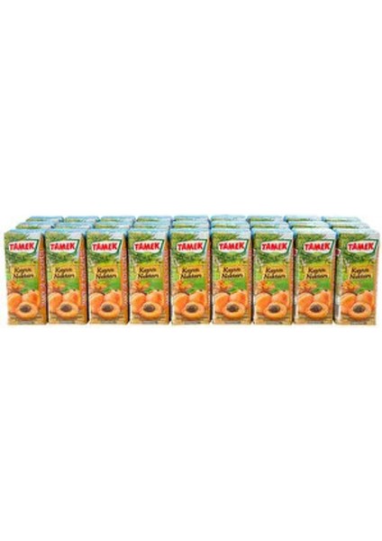 Kayısı Nektarı 200 ml x 27 Adet