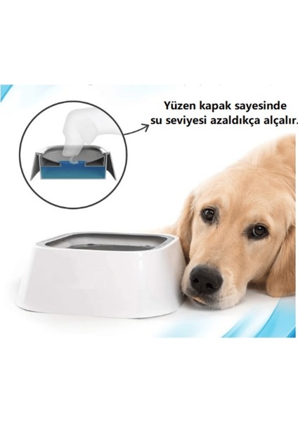 Puffy Paw Yeni Nesil Sıçratmayan Köpek Su Kabı - No Splash Dog Water Bowl fırsatları