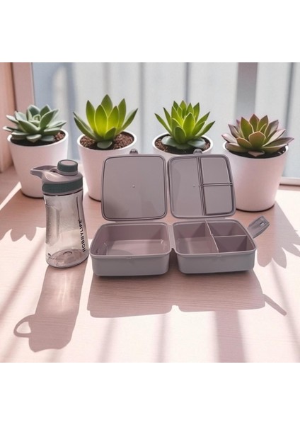 Okul Beslenme Seti: Su Matarası (530ML) ve Desenli Beslenme Kutusu (5PP En Güvenilir Plastik Sınıfı) fırsatları