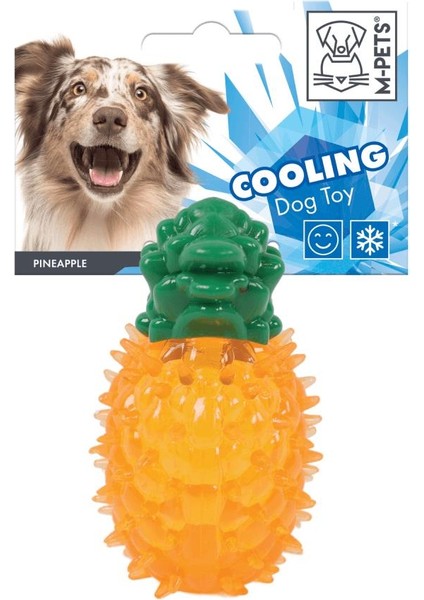 Serinletici Ananaslı Köpek Oyuncağı