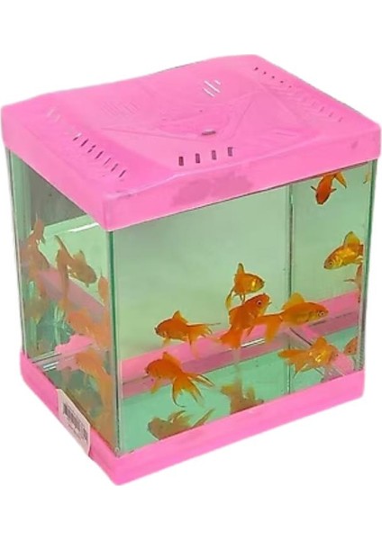 Mini Lüx Kare Akvaryum Renkli