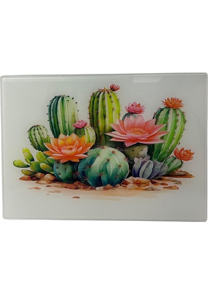 Temperli Cam Sebze Meyve Doğrama Kesme Tahtası, Kenarları Oval, Antibakteriyal Desenli 25X35CM fiyatları