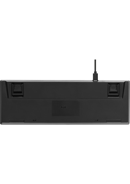 Briar Siyah Type-C Bağlantılı Rgb Puding Tuşlu Gaming Oyuncu Klavye Q Mekanik Red Switch