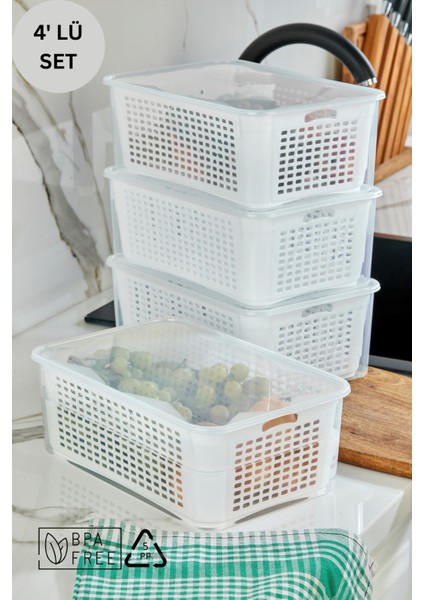 Süzgeçli Saklama Kabı 4 Adet