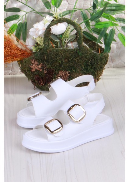 3509 Ceyn Anatomik Rahat Iki Tokalı Kadın Sandalet indirimleri