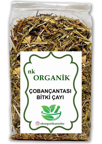 Çoban Çantası Bitki Çayı Yeni Hasat 500GR