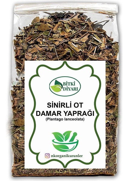 Sinirli Ot (Plantago Lanceolata) 50GR