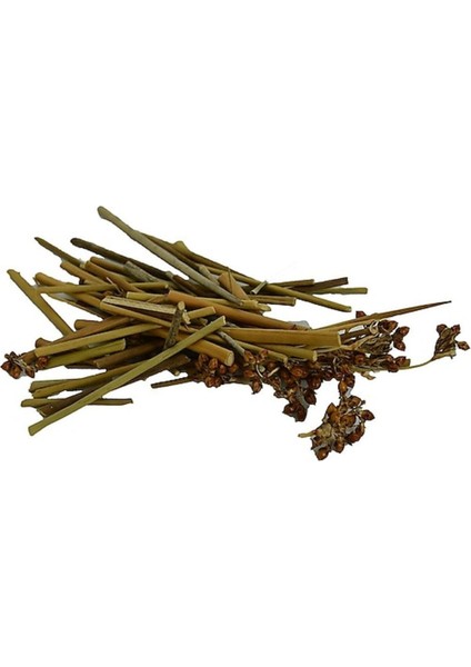 Kayışkıran Otu 50GR